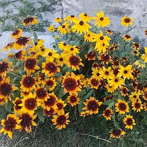  Hébergement de vacances Le Petit Grenier
